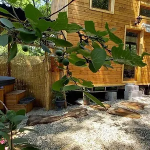 mini-maison-tiny-house-et-son-bain-nordique.midi-pyreneeshotels.com/